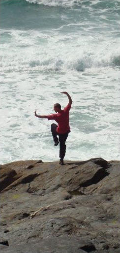 beach fu